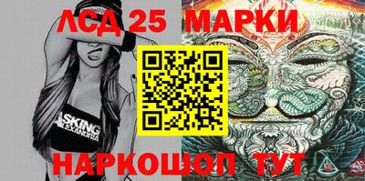 шишки Гатчина