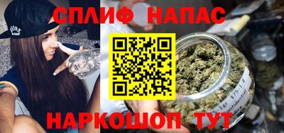 шишки Гатчина