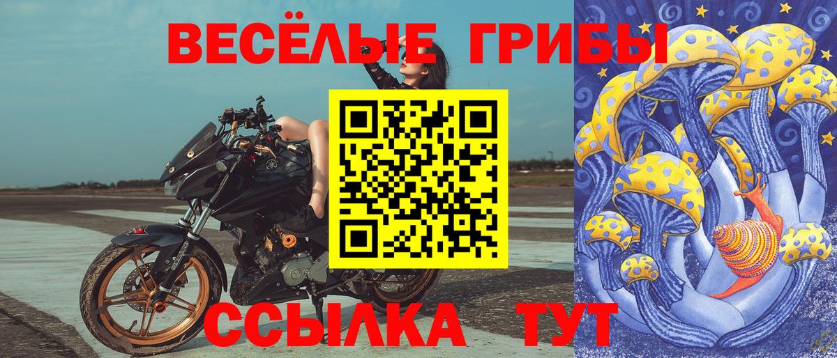 Галлюциногенные грибы Cubensis Углич